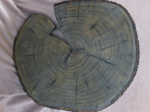 Tree Trunk Shield